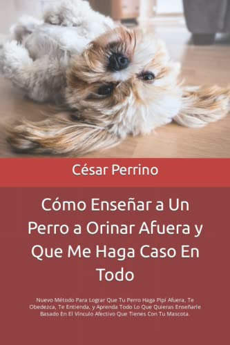 Como Enseñar A Un Perro A Orinar Afuera Y Que Me Haga Caso E