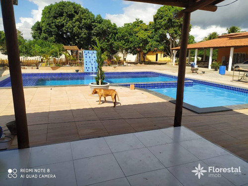 Imagem 14 de 17 de Chácara Com 4 Dormitórios À Venda, 3.300 M² Por R$ 1.200.000 - Centro - Sâo José/ba - Ch0001