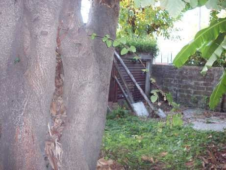 Imagen 3 de 9 de Lote En Venta En Lanus Este