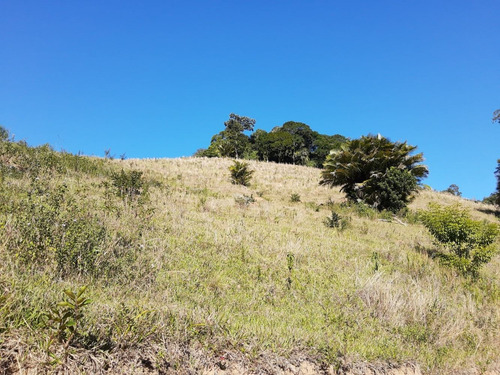 Imagem 3 de 14 de Vendo Chacara De 2,5 Alq Região De Natividade Da Serra (4238