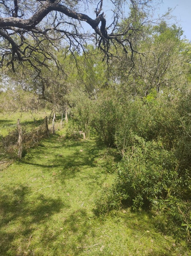 Imagen 12 de 15 de En Venta Chacra Mojones Norte 10.5 Ha