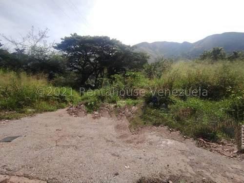 Imagen 4 de 7 de Amplios Terreno En Plena Avenida El Castaño De Maracay- Mfc 22-12299