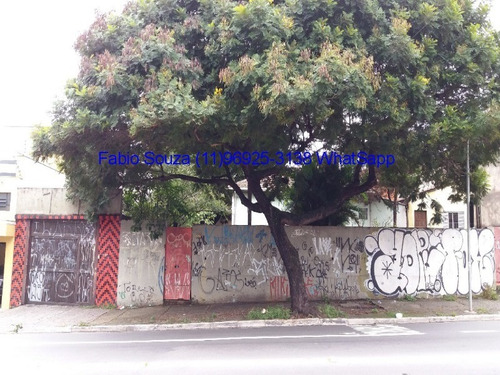 Imagem 1 de 3 de Terreno - Te00001 - 68541184