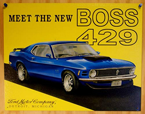 Empresas Desesperada Ford Mustang Boss 429 De Chapa Por 16  