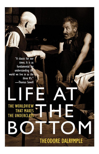 Life At The Bottom : The Worldview That Makes The Undercl...