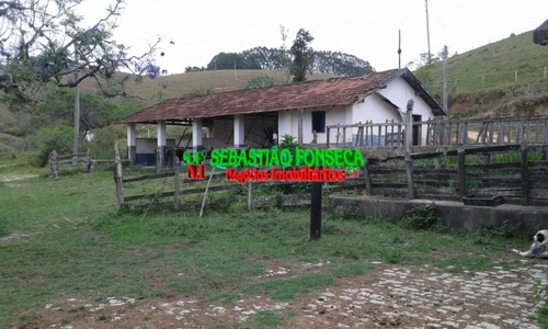 Imagem 4 de 15 de Fazenda Em Santa Branca 125 Alqueires - 805