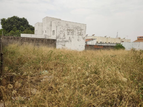 Imagem 6 de 8 de Terreno Plano - 23749