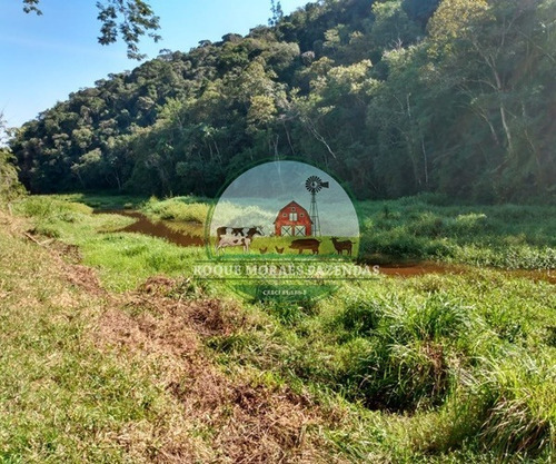 Imagem 19 de 29 de Fazenda Medindo 103 Alqueires Paulista No Vale Do Ribeira Sp Ref.: 0372