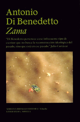 Zama, De Di Benedetto, Antonio. Editorial Adriana Hidalgo Editora, Tapa Blanda En Español