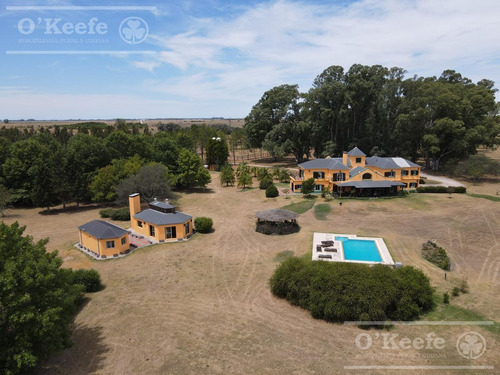 Imagen 5 de 24 de Campo En Venta 50 Has En Punta Indio - Excelente Casco - Ideal Haras