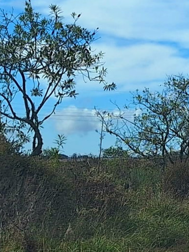 Vendo 5has De Campo, Es Esquinero Forma Triangular Sobre Ruta Nacional Número 19 Km 17 Paraje Isla Negra. Con Títulos, Sin Deudas.