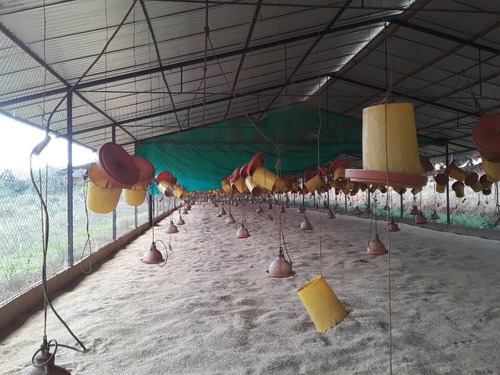 Imagen 5 de 7 de Se Vende Granja En Güigüe, Carabobo - Inmobiliaria Maggi Cod. 347