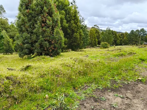Proyecto Campestre