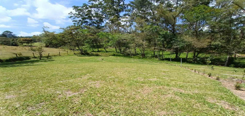 Lote En Venta Ubicado En Rionegro Sector Cabeceras (22402).