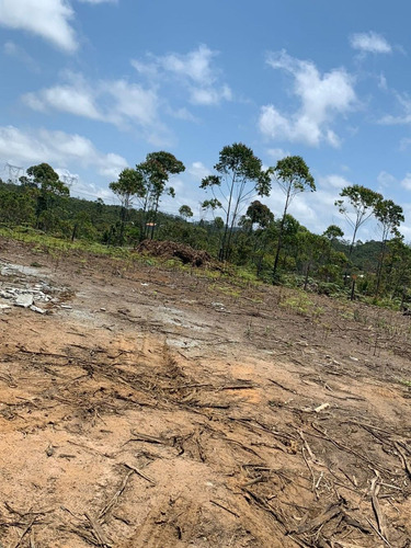 Imagem 2 de 14 de 08 Terrenos 1000m² Em Mogi