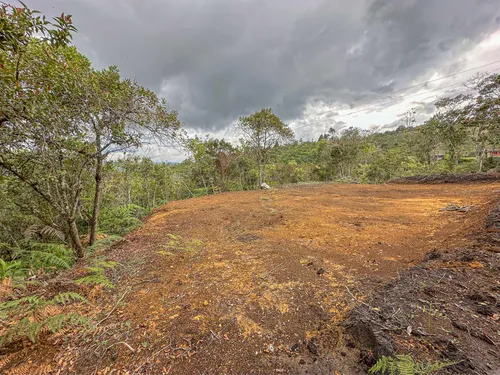 Lotes En Guarne Oportunidad Para Invertir