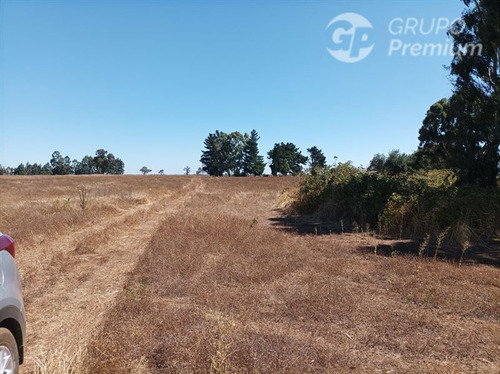 Imagen 8 de 17 de Terreno Agrícola En Venta En Victoria