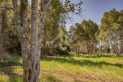 Sitio En Venta En Rio Maullín, Los Muermos, Puerto Varas