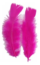Comprar Pluma Gallo X50u Atrapasueños Souvenir Manualidades Faisa