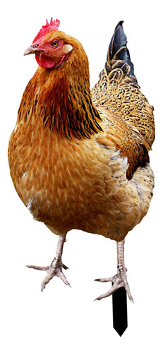 Estatua De Gallina, Estaca De Jardín, 33x15,2x0,1 Cm
