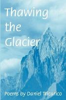 Libro Thawing The Glacier - Daniel L Tricarico