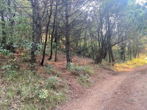 Imagen 6 de 10 de Terreno En Paraje Cuacuametla, Fracc. Real Montecasino, En H