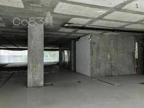Imagen 11 de 29 de Renta - Oficina - Hamburgo - 520 M2 - Piso 3