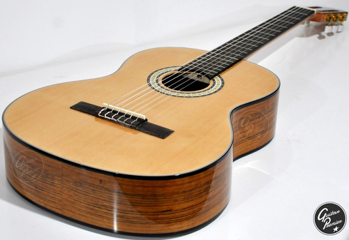 Guitarra Criolla Concierto Modelo Fonseca Funda Segovia E180