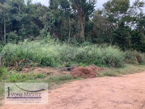 Imagem 6 de 6 de Terreno Em Barão De Javary - Miguel Pereira - 3308
