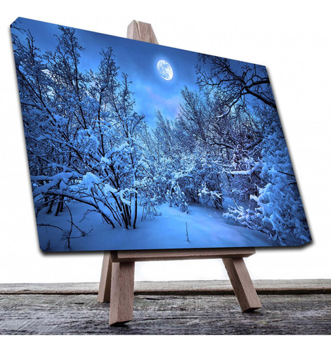 Cuadro Decorativo Canvas Paisajede Frio Invierno Con Nieve