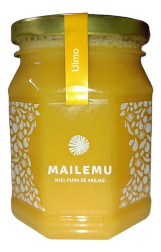 Miel Ulmo Premium 500gr Natural Del Sur De Chile