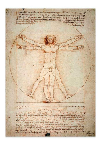 Cuadro Canvas Fine Art Hombre De Vitruvio Da Vinci 35x50
