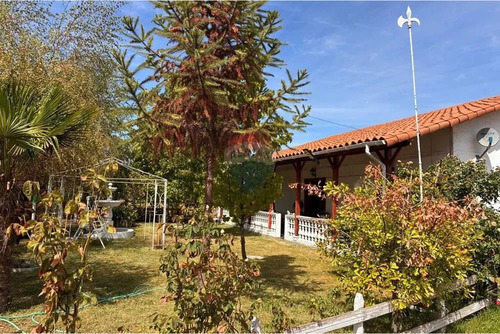 Parcela Agrícola En Curicó, Maule