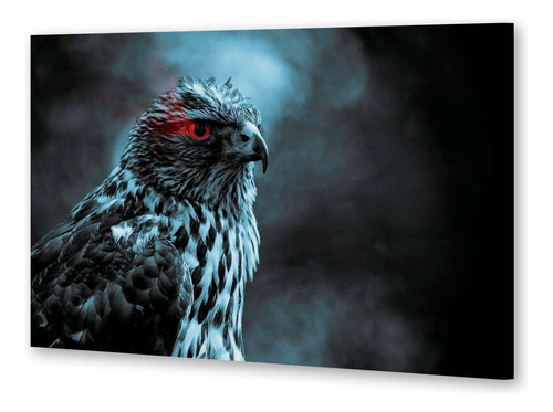 Cuadro 50x75cm Aves Blanco Y Negro Ojo Rojo Espectacular