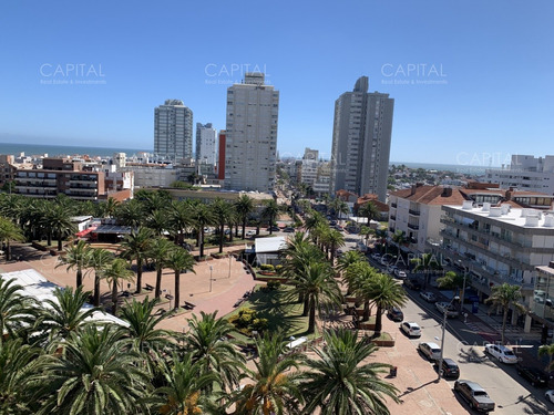 Península  Con Vista Al Puerto 