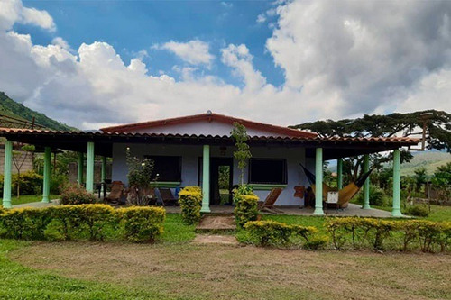 Imagen 1 de 10 de Fd Asein- Sd1454 Vende Hermosa Finca De 2 Hectareas Y Media En Chirgua, Municipio Bejuma Del Estado Carabobo.