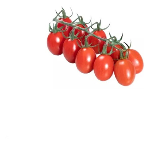 Sobre Para Sembrar 15 Plantas De Tomate Cherry Perita