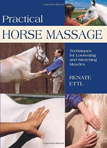 Practical Horse Massage Techniques For Loosening And Stretch