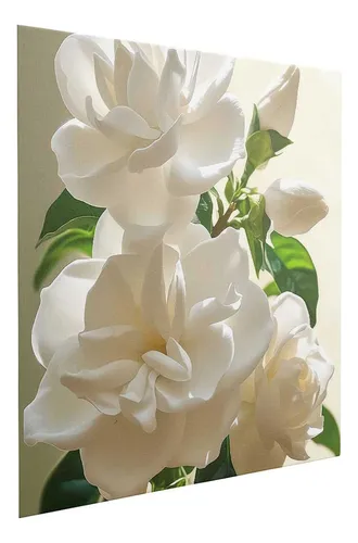 comprar Lienzo Elegante Gardenia, Aroma Encantador 125x125