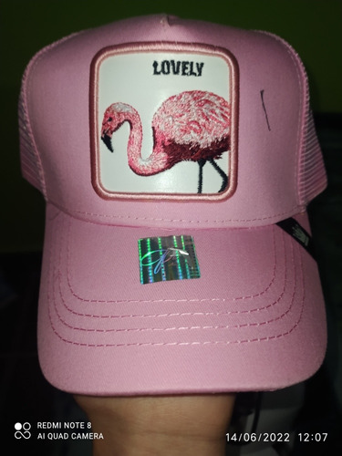 Gorras New Your 