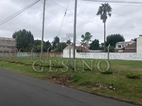 Imagen 4 de 6 de Terreno - Manuel B Gonnet