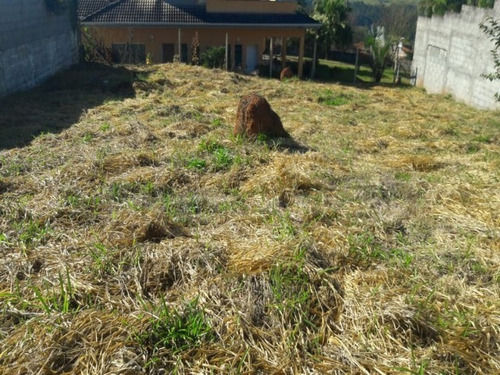 Imagem 4 de 6 de Terreno - Te00218 - 34236631