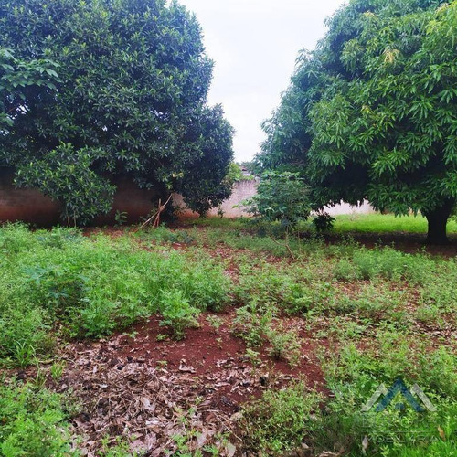 Imagem 26 de 30 de Chácara No Dom Pedro I, Com 2 Dormitórios À Venda, 10010 M² Por R$ 768.000 - Dom Pedro I - Londrina/pr - Ch0159