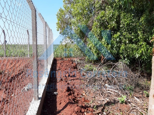 Imagem 4 de 30 de Chacara - Ch00014 - 69832043