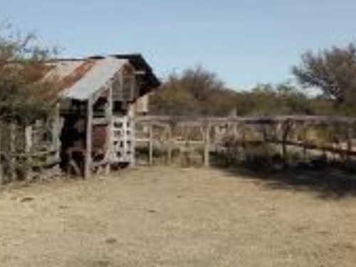 Imagen 4 de 8 de Campo De 431 Ha En Concaran.a 1.500 Metros Del Pueblo.
