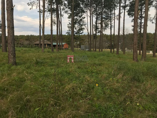 Venta- Terreno Chacras Del Pinar Maldonado Sla5907840