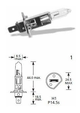 Imagen 5 de 6 de Ampolleta Bosch H1 12v 55w