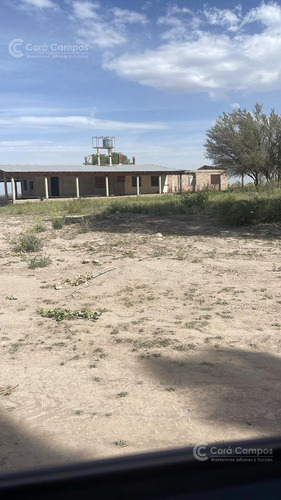 Se Vende Finca De 170ha Con Plantaciones De Ajo En San Carlos, Mendoza