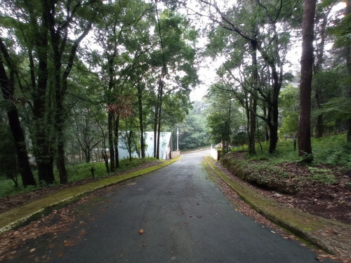 Imagen 4 de 30 de Vendo Preciosa Granja, Rodeada De Naturaleza, Excelente Ubicacion