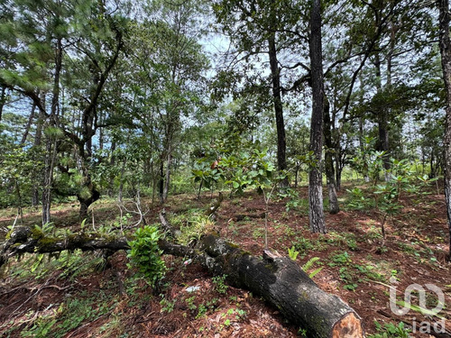 Venta Terreno 0 Ambiente Chijiltec (san Isidro)
